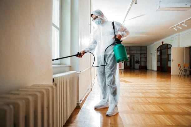 Best Termite Control Services  in Fairfield Plantation, GA